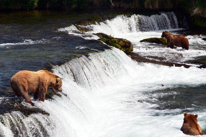 Brooks Falls Katmai Bear Viewing in a Float Plane - The Itinerary in Detail