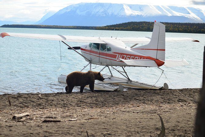 Brooks Falls Katmai Bear Viewing in a Float Plane - The Sum Up: Who Will Love This Tour?