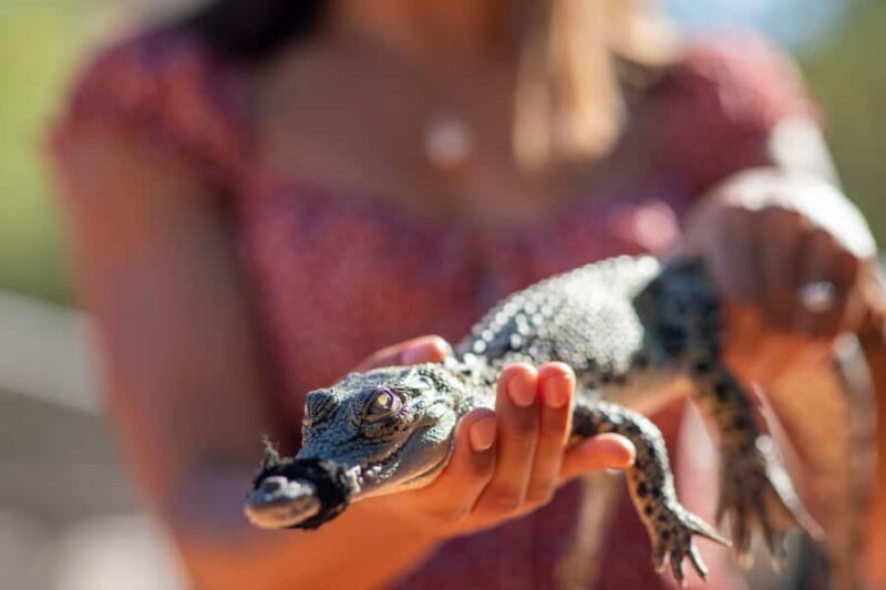 Broome: Matso's Brewery, Museum & Crocodile Park Combo Tour - A Practical Guide to the Broome Combo Tour