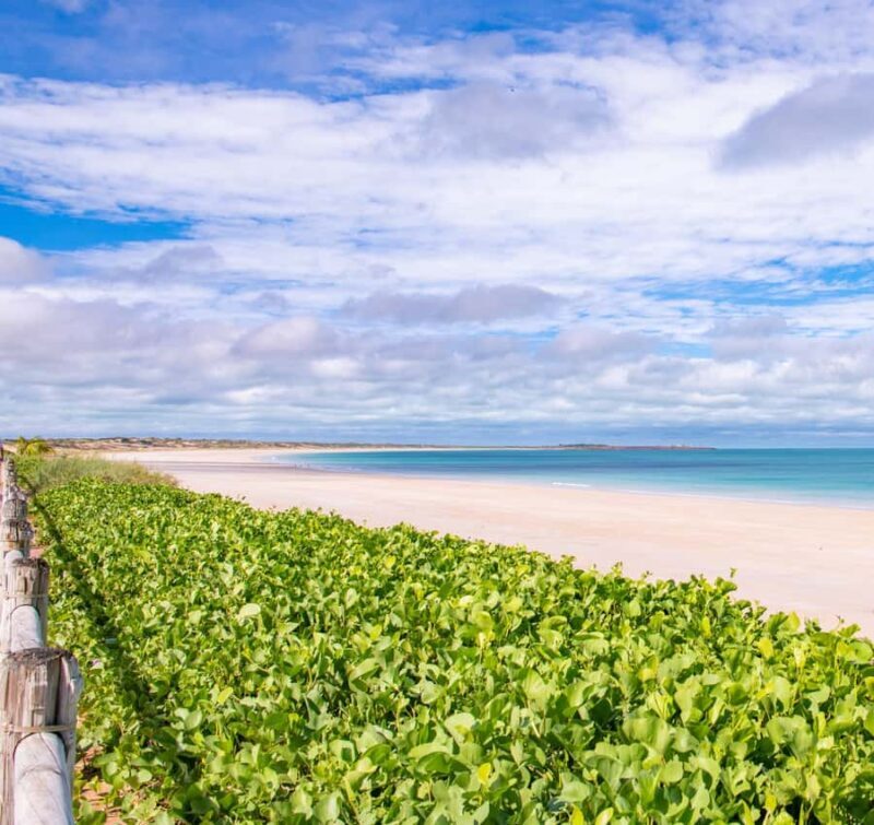 Broome: Panoramic and Discovery - Morning Tour w/ Transfers - Key Points