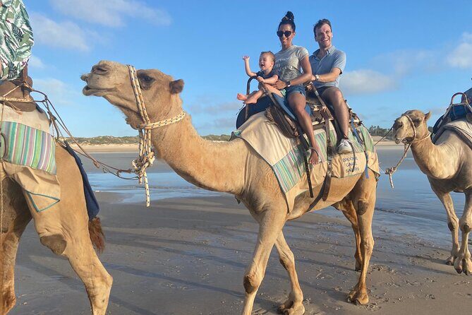 Broome Pre-sunset Camel Tour 30 minutes - What You Can Expect from the Itinerary