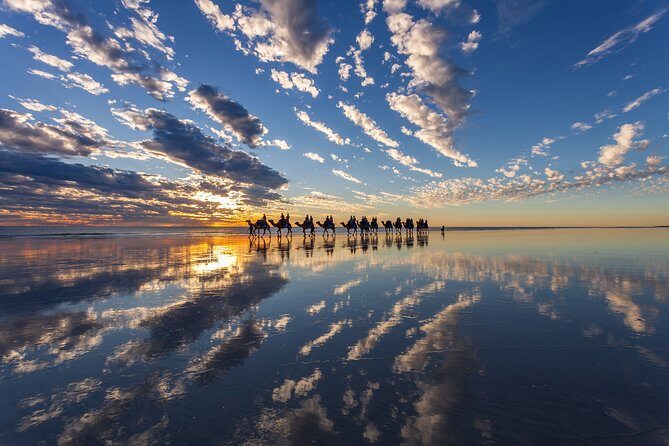 Broome Pre-sunset Camel Tour 30 minutes - Final Thoughts: Who’s This Tour Best For?