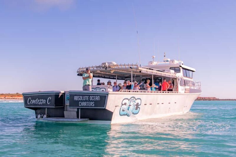 Broome Sunset & Whale Watching Cruise - A Deep Dive into the Broome Sunset & Whale Watching Cruise