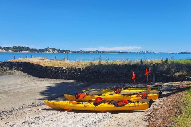 Browns Island Motukorea Sea Kayak Tour - The Itinerary Explained