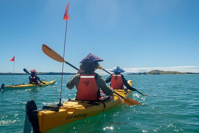 Browns Island Motukorea Sea Kayak Tour - Weather and Cancellation Policies