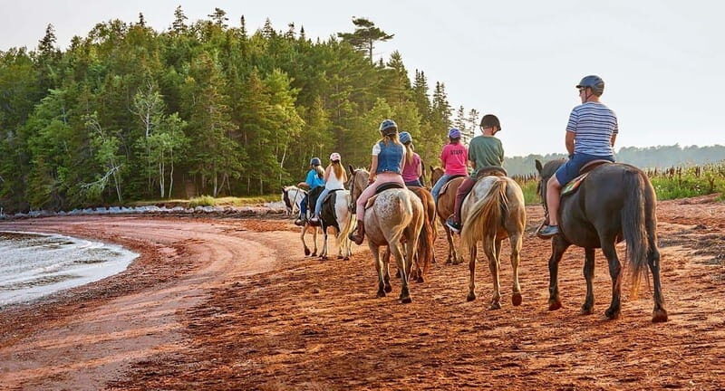 Brudenell: Family-Friendly Horse Ride goes on the Beach - What to Expect from the Ride