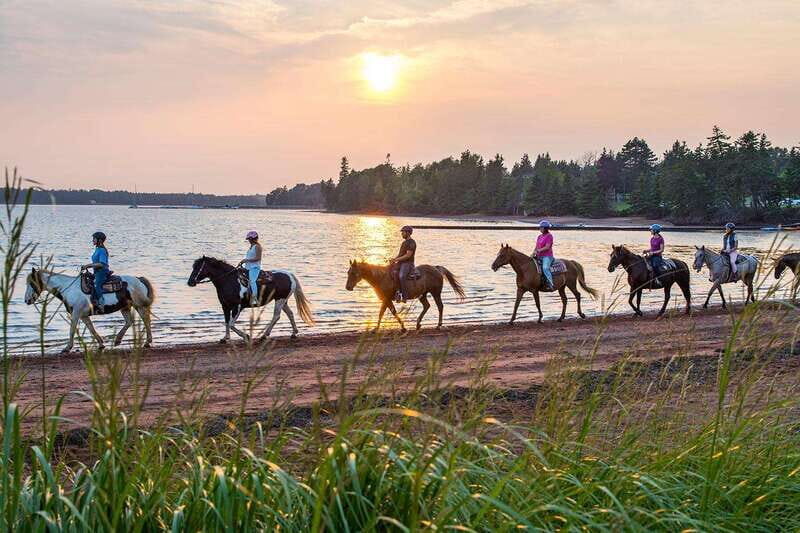 Brudenell: Family-Friendly Horse Ride goes on the Beach - The Itinerary in Detail
