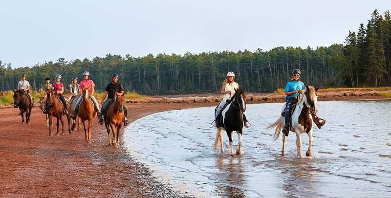 Brudenell: Family-Friendly Horse Ride goes on the Beach - FAQ