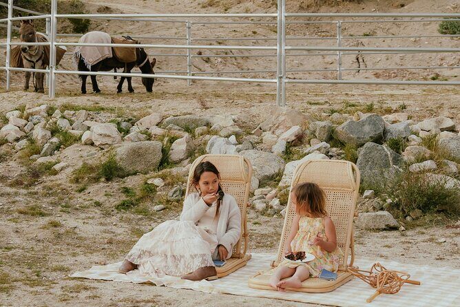 Brunch with Mini Rescue Burros in Southern California - An Overview of the Experience