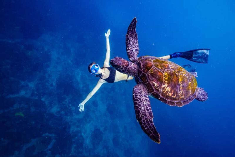 Brunswick Heads: Snorkelling in Byron Bay - An In-Depth Look at the Experience