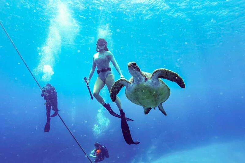 Brunswick Heads: Snorkelling in Byron Bay - Final Thoughts
