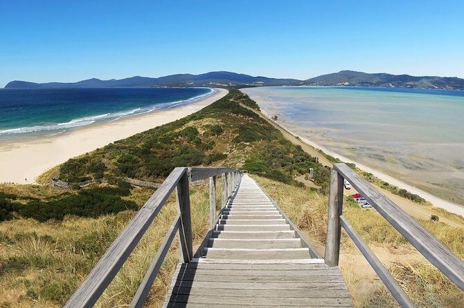Bruny Island Day Tour Private Charter Service 3 days in advance - Key Points