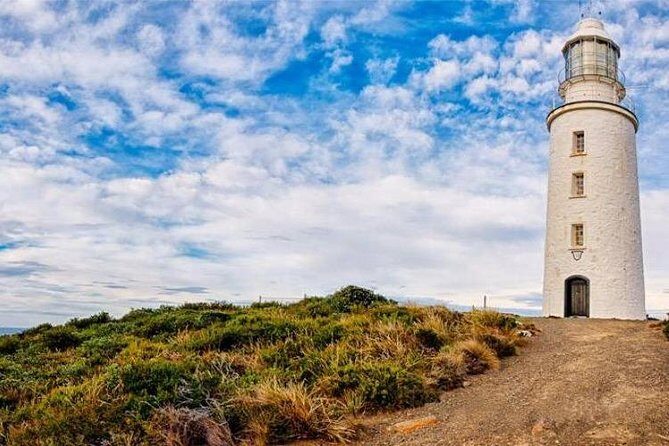 Bruny Island Day Tour Private Charter Service 3 days in advance - Analyzing the Experience: What to Expect on Your Day