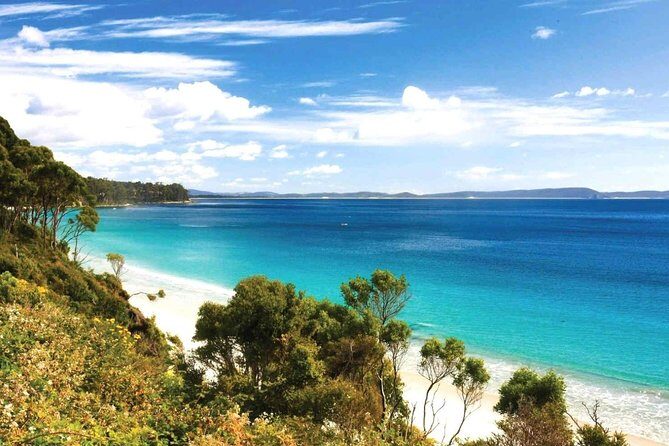 Bruny Island Day Tour Private Charter Service 3 days in advance - The Practicalities: What You Need to Know