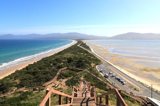 Bruny Island Small-Group Guided Tour From Hobart - Practical Details and What They Mean for You