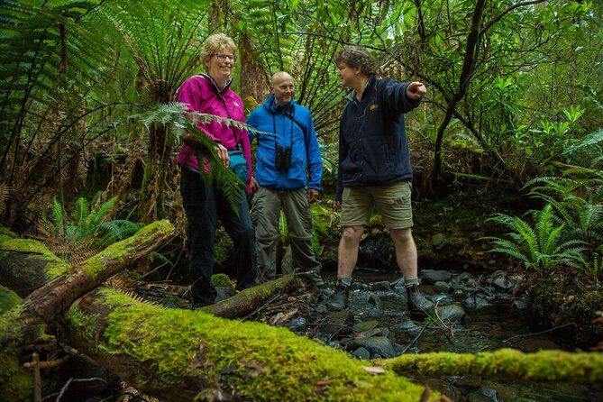 Bruny Island Traveller - Gourmet Tasting and Sightseeing Day Trip from Hobart - An In-Depth Look at the Tour Experience