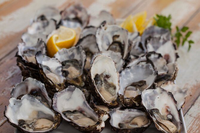 Bruny Island Traveller - Gourmet Tasting and Sightseeing Day Trip from Hobart - Final Thoughts