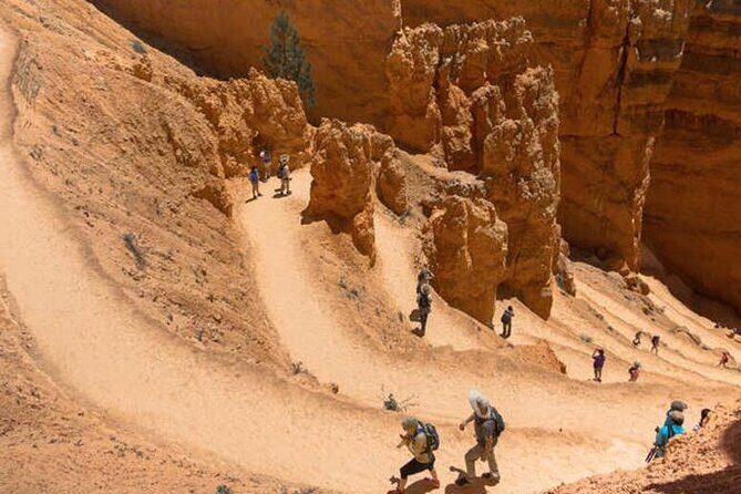 Bryce Canyon and Zion National Park Tour - Key Points