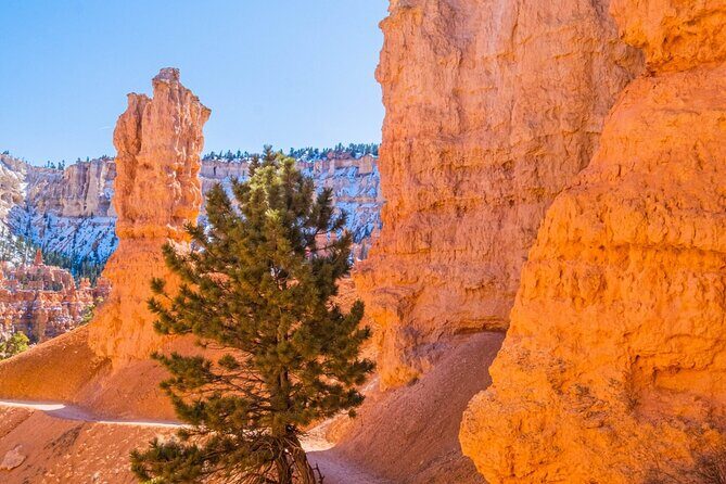 Bryce Canyon and Zion National Park Tour - Final Thoughts: Is This Tour Right for You?