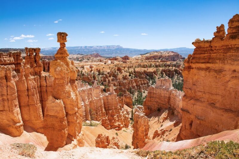 Bryce Canyon City Guided ATV/RZR Tour - The Itinerary: What to Expect on This 1-Hour Ride