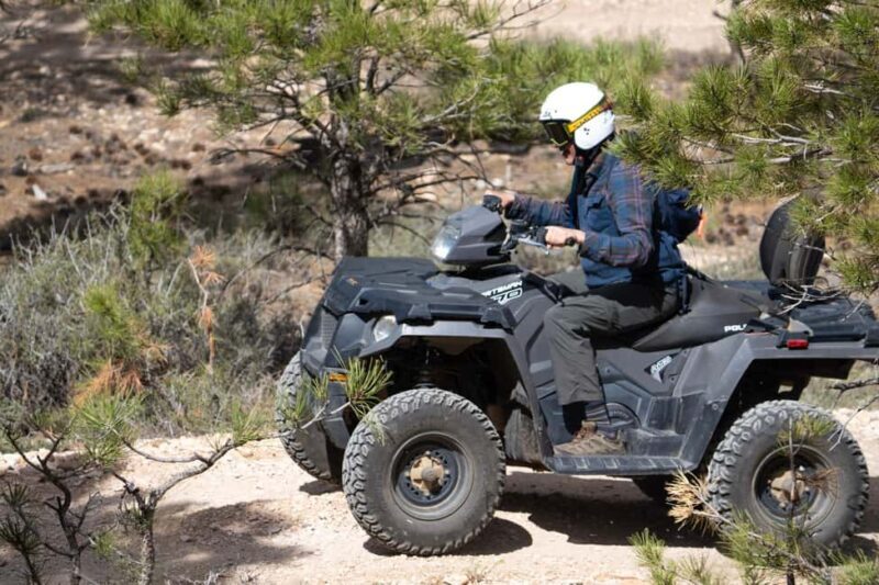 Bryce Canyon City Guided ATV/RZR Tour - The Sum Up