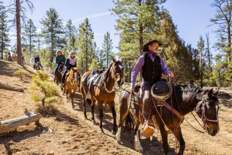 Bryce Canyon City: Horseback Riding Tour in Red Canyon - FAQ