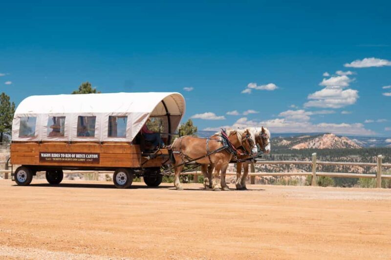 Bryce Canyon City: Wagon Ride to the Rim of Bryce Canyon - Price and Value