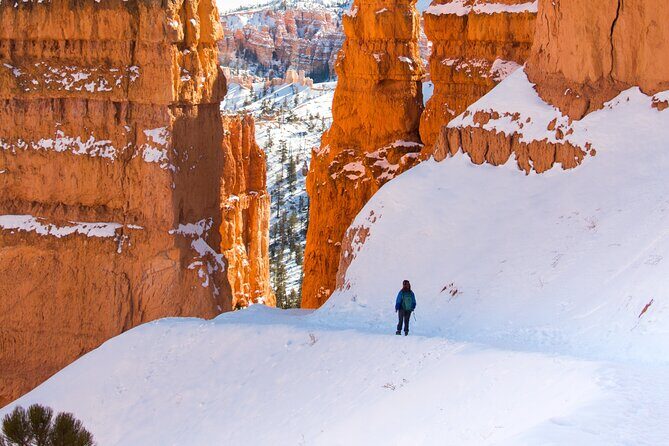 Bryce Canyon Full Day Private Tour and Hike - An In-Depth Review of the Bryce Canyon Private Tour