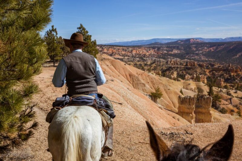 Bryce Canyon: Horseback Ride in the Dixie National Forest - Key Points