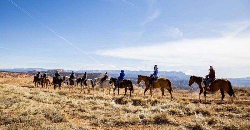Bryce Canyon: Horseback Ride in the Dixie National Forest - An Overview of the Experience