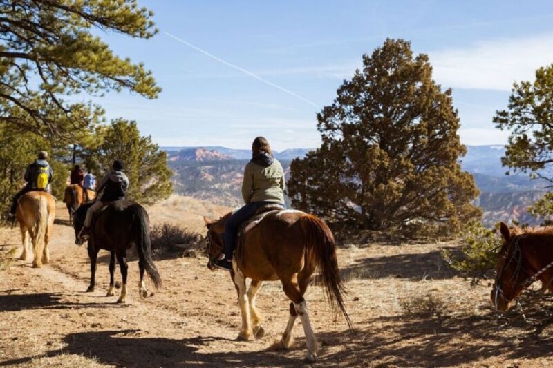 Bryce Canyon: Horseback Ride in the Dixie National Forest - Practical Details and What’s Included