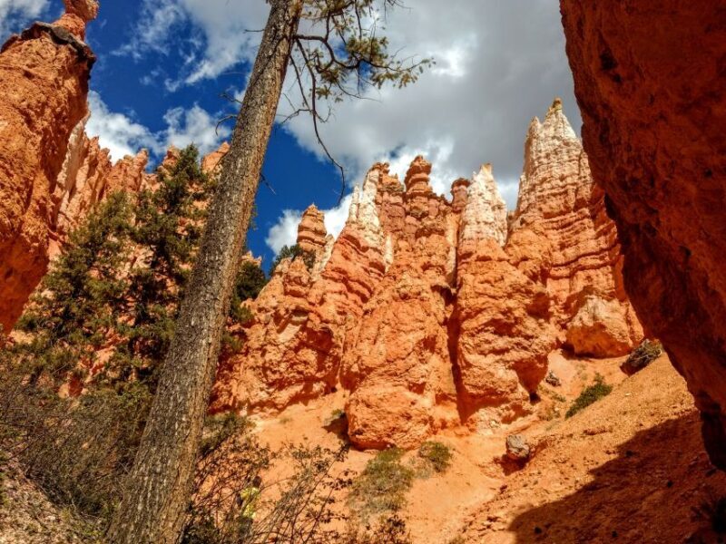 Bryce Canyon National Park Hiking Experience - The Itinerary in Detail