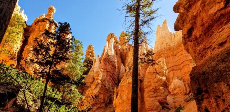 Bryce Canyon National Park Hiking Experience - Authentic Experiences and Real Feedback