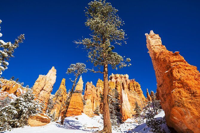 Bryce Canyon National Park Self-Guided Driving Audio Tour - Who Should Consider This Tour?