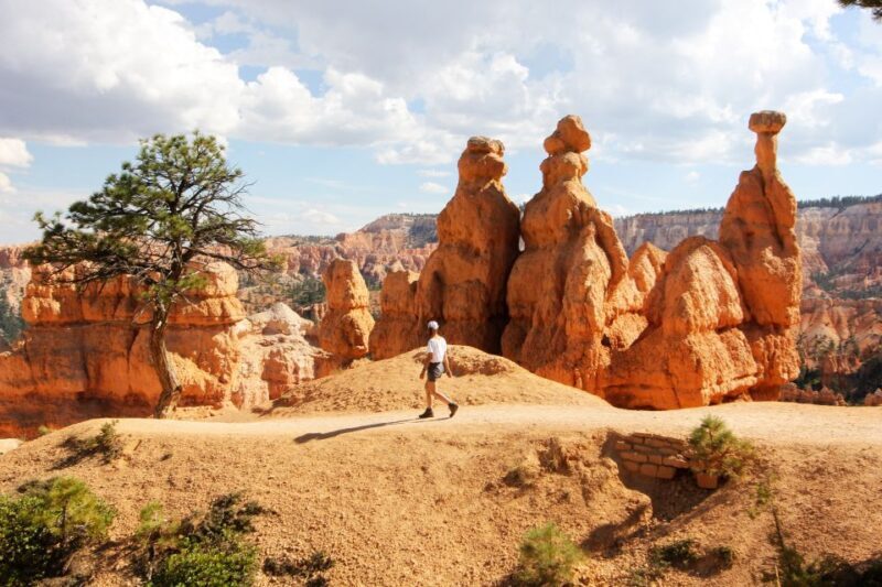 Bryce Canyon & Zion National Park: Private Group Tour - Practical Considerations