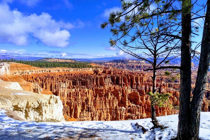Bryce Canyon & Zion National Parks from Vegas, Lunch, Free WiFi - What to Expect During the Day