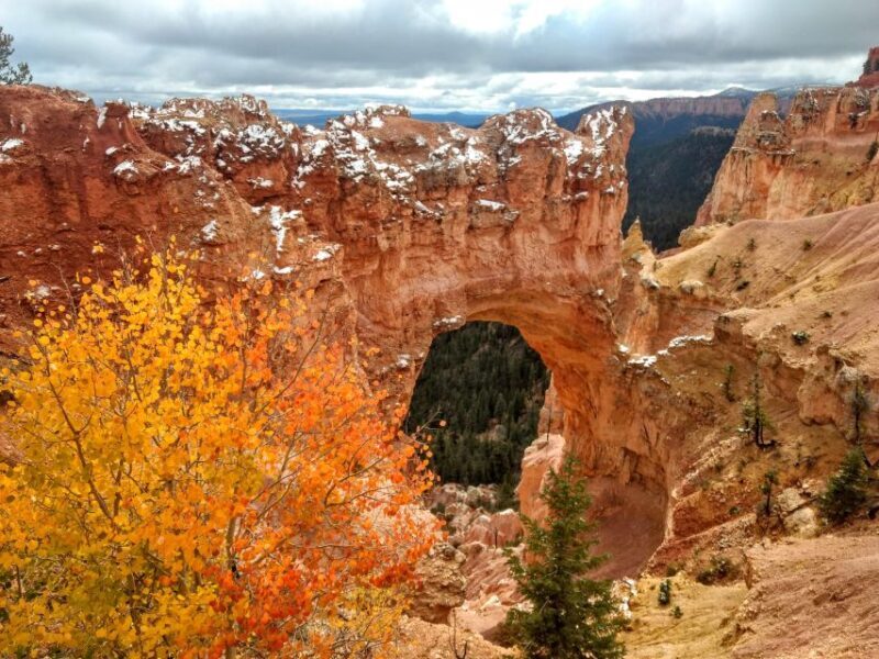 Bryce: Guided Sightseeing Tour of Bryce Canyon National Park - Exploring Bryce Canyon: What to Expect