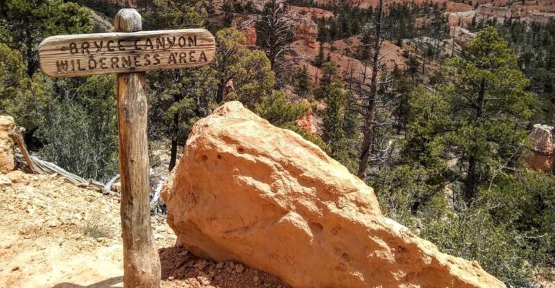 Bryce: Guided Sightseeing Tour of Bryce Canyon National Park - Comfort, Convenience, and Cost