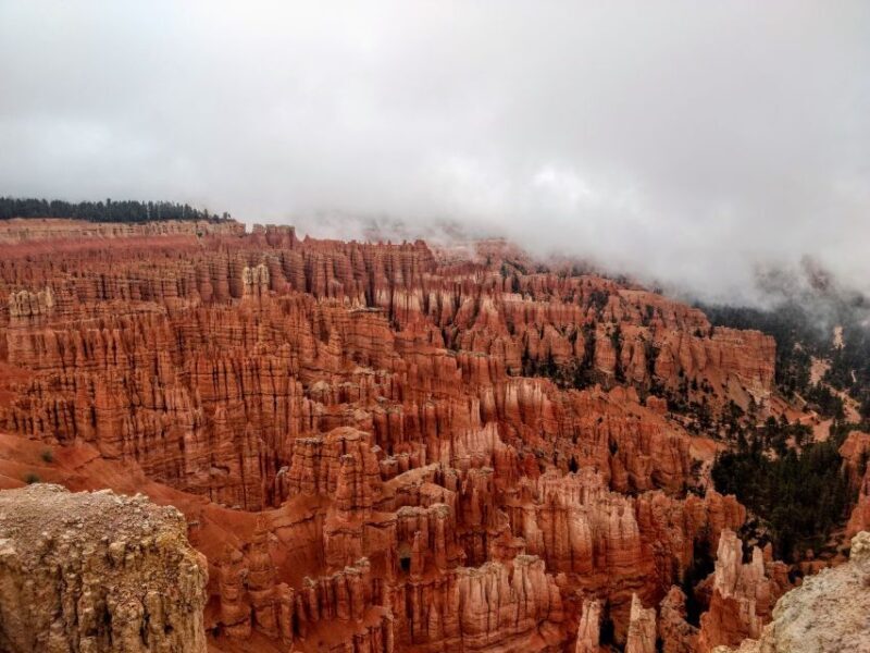 Bryce: Guided Sightseeing Tour of Bryce Canyon National Park - Limitations and Considerations