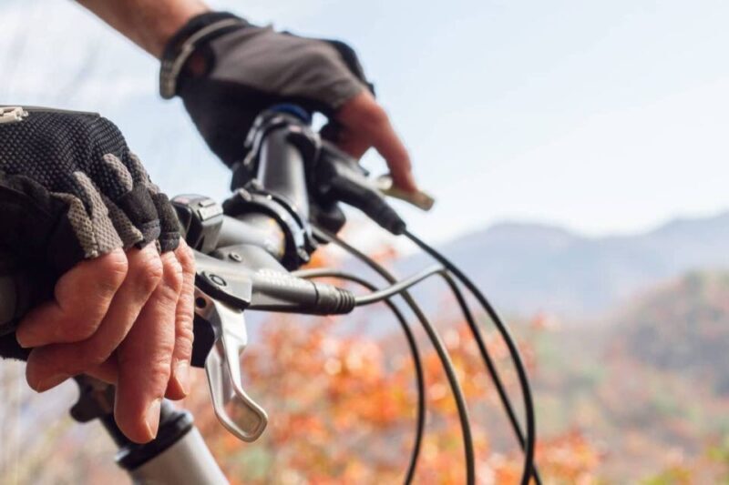 Bryson City: Tsali Recreation Area Guided Mountain Bike Tour - An In-Depth Look at the Tour Experience