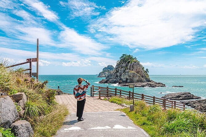 BTS Landmarks Private Car Tour in Busan with a Licensed Guide - Why This Tour Will Appeal to You