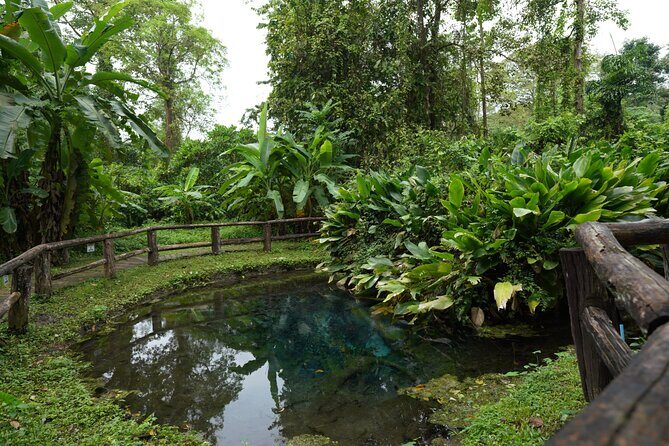 Bua Tong Sticky Waterfall-Nam Phu Chet Si Hotel Van Transfer - Practical Tips for Travelers