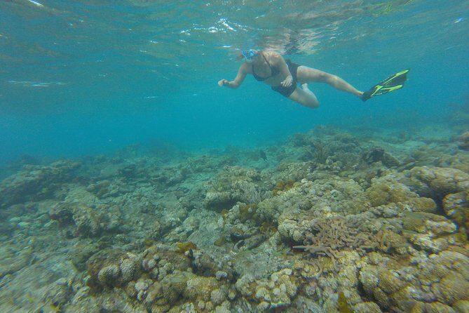 Buccoo Reef and Nylon Pool Adventure - Practical Tips for Travelers