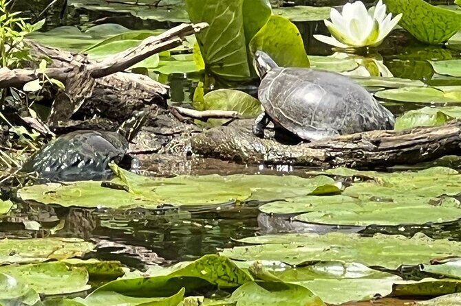 Buckhorn State Park nature hike, kayaking tour, and fishing - The Itinerary: What to Expect from Start to Finish
