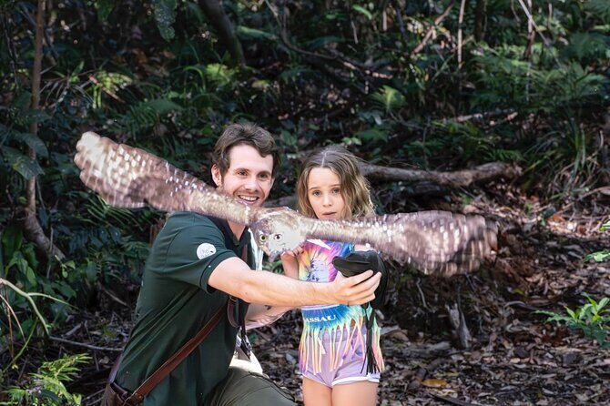 Buderim Forest Flight Owl Encounter and Tour - The Itinerary in Detail