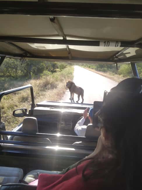 Budget Kruger & Panorama All-Inclusive Safari from Joburg - Who’s This Tour For?