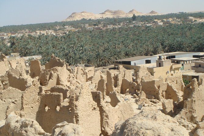 Budget Travel Package to Siwa Oasis from Cairo or Giza - Key Points