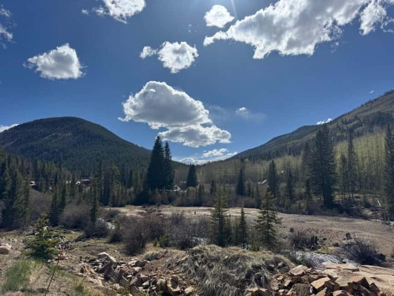 Buena Vista: 3 Hour E-Bike Tour to St. Elmo Ghost Town - What to Expect from the Tour