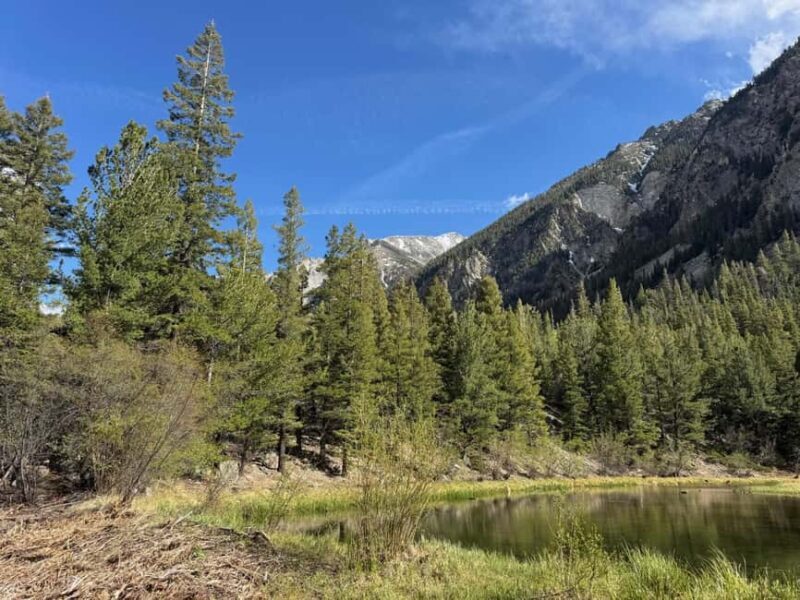 Buena Vista: 3 Hour E-Bike Tour to St. Elmo Ghost Town - Pricing and Value