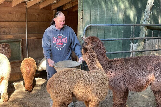 Buffalo Creek Ranch Tour Experience - Final Thoughts